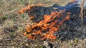Trockenes Gras steht in Flammen. Heiße Abgasanlagen von Autos können beim Parken auf trockenen Wiesen einen Brand auslösen.